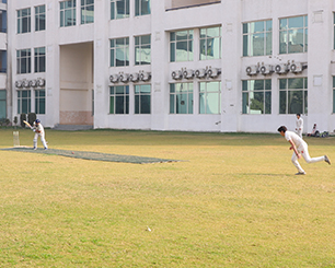 Cricket